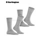 EVERYDAY UNI calzini di Burlington - 3400 light grey