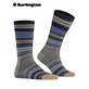 STRIPE calzini di Burlington - 3070 dark grey mel.