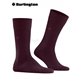 LEEDS calzini di Burlington - 8435 claret