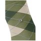 MANCHESTER calzini per uomo di Burlington - 7473 lime green