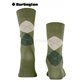 MANCHESTER calzini di Burlington - 7473 lime green