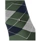 MANCHESTER calzini da uomo di Burlington - 7982 mountain green