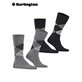 EVERYDAY ARGYLE calzini della Burlington - 3390 light grey mel.