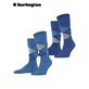 EVERYDAY ARGYLE calzini da uomo della Burlington - 6337 cornflower blue