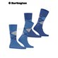 EVERYDAY ARGYLE calzini della Burlington - 6337 cornflower blue