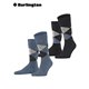 Everyday Argyle (2 paia)