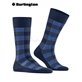 BUFFALO CHECK calzini della Burlington - 6879 royal