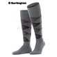 PRESTON calzettoni da uomo della Burlington - 3400 light grey