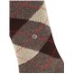 PRESTON calzettoni da uomo di Burlington - 5256 brown