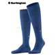 DUBLIN calzettoni da uomo di Burlington - 6583 night blue