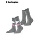Everyday Argyle Mix (2 paia)