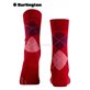 MARYLEBONE calzini da donna di Burlington - 8033 cranberry