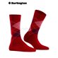 MARYLEBONE calzini di Burlington - 8033 cranberry