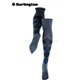 MARYLEBONE parigine per donna della ditta Burlington - 6688 dark blue mel.