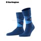 PRESTON calzini per uomo di Burlington - 6000 royal blue