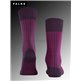 OXFORD STRIPE calzini da uomo di Falke - 8282 aubergine OXFORD STRIPE calzini da uomo di Falke - 8282 aubergine