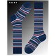 MICROBLOCK calzini da uomo di Falke - 6000 royal blue MICROBLOCK calzini da uomo di Falke - 6000 royal blue